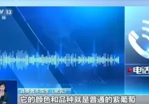 芒果凤梨没芒果、草莓芭乐没草莓！揭露网红水果命名背后的消费陷阱
New
