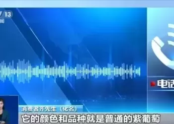 芒果凤梨没芒果、草莓芭乐没草莓！揭露网红水果命名背后的消费陷阱
New