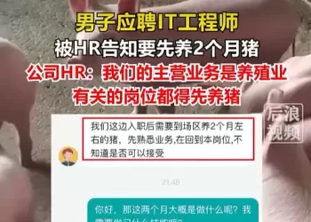 男子应聘程序员岗位，被要求先养两个月猪？HR回应
New