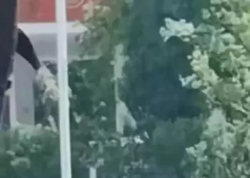 精华									
江苏江阴一黑色轿车喷涂110标识、行驶途中开启警灯，警方回应
New