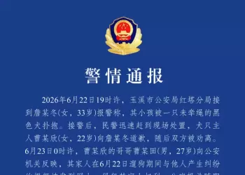 8岁女童被未牵绳大狗扑抱，云南警方通报：双方已自愿达成调解协议。
New