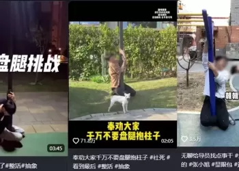 精华									
多人“跪”在街头紧急报警！这种“网红挑战”千万别玩
New