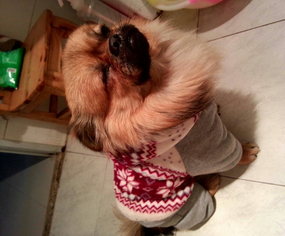 搜狗截图16年03月05日1139_3.jpg