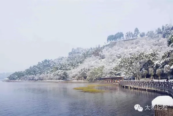 搜狗截图16年03月17日0929_22.jpg