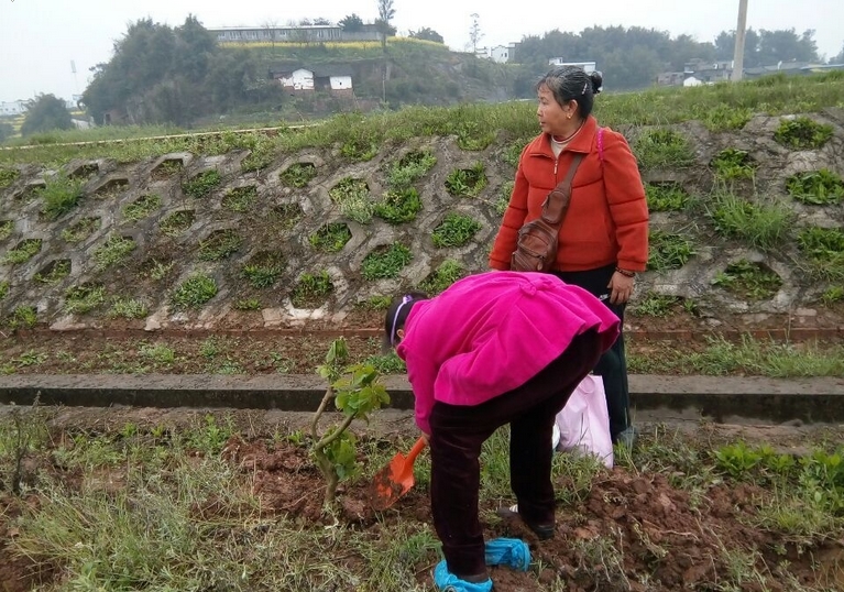搜狗截图16年03月20日1022_5.jpg
