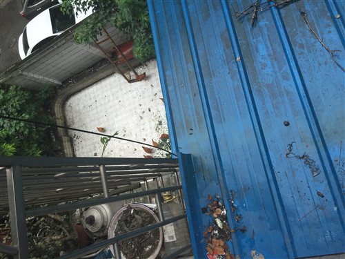 2016090515073908910990m.jpg