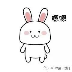 152109iji3oxxvj8yagjjy.jpg.thumb.jpg