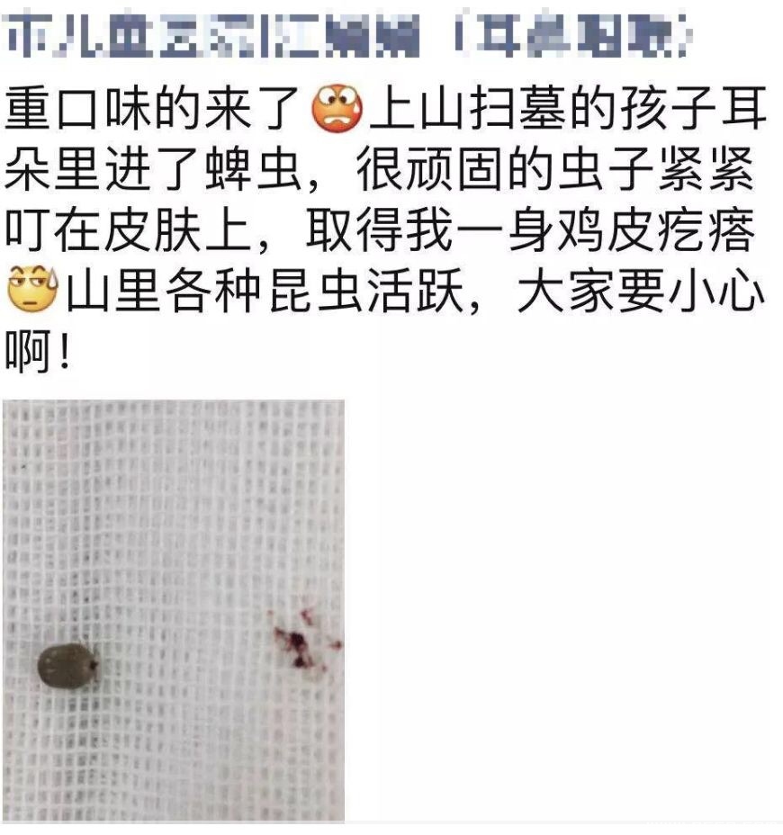 142333r46tkdgcd8kgk484.jpg