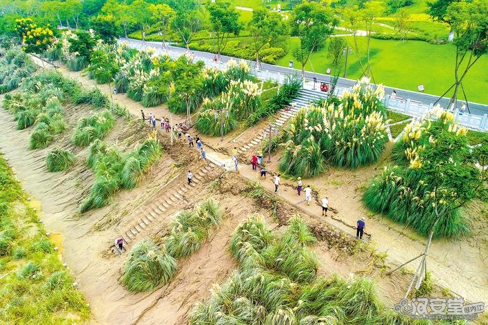 内江城区湿地公园：吹响清淤“冲锋号”-1.jpg