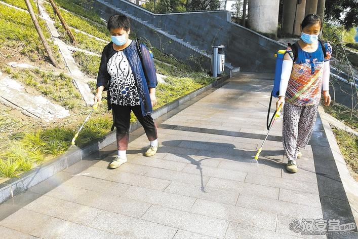 内江城区湿地公园：吹响清淤“冲锋号”-5.jpg