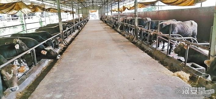 资中县畅达农业开发集团有限公司： 种养加工“一条龙” 串起绿色产业链-3.jpg