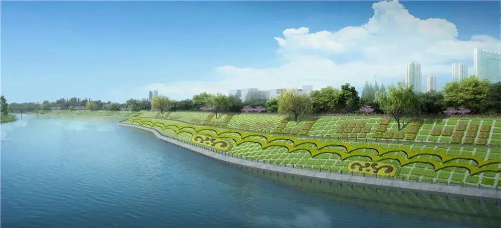 总投资1.5亿，惠及10万人！市中区城南5公里沱江右岸将惊艳亮相-4.jpg