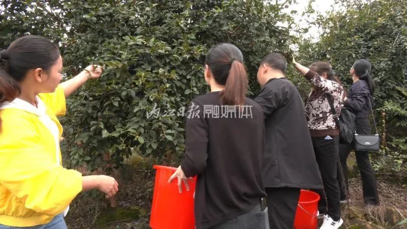 重要预告：霸屏超20分钟！今晚8点，内江将亮相央视-13.jpg