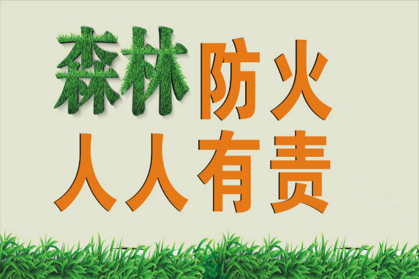 有效预防和扑救森林火灾！内江发布2021年森林防火命令-1.jpg