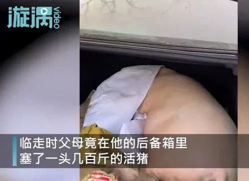 社会 | 太意外！男子离家时爸妈将重礼塞后备厢：300斤，活的！-1.jpg