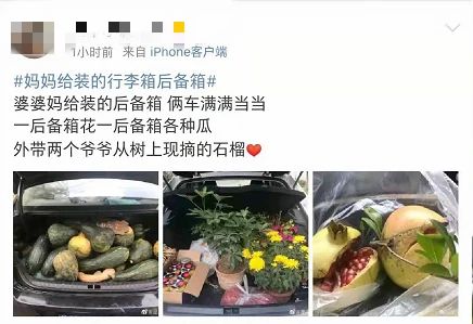 社会 | 太意外！男子离家时爸妈将重礼塞后备厢：300斤，活的！-9.jpg