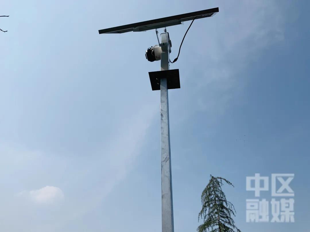 厉害了！自主研发“监测神器”，市中区森林防火迈入“云”时代-2.jpg