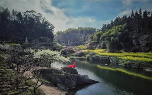 玩转内江丨资中各大赏花打卡点来了，总有一款你..-7.jpeg