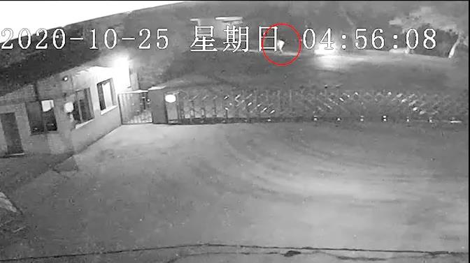 交通肇事逃逸！肇事者家人涉嫌帮助毁灭证据罪将被提起刑事诉讼-1.jpg