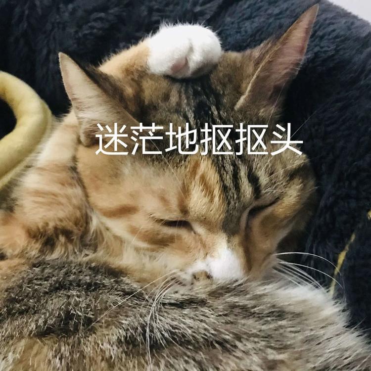 放假通知！内江人，来看看你今年还有多少天假期-1.jpg