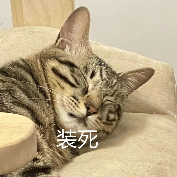 放假通知！内江人，来看看你今年还有多少天假期-6.jpg