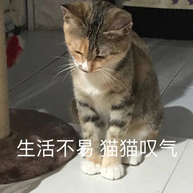 放假通知！内江人，来看看你今年还有多少天假期-7.jpg