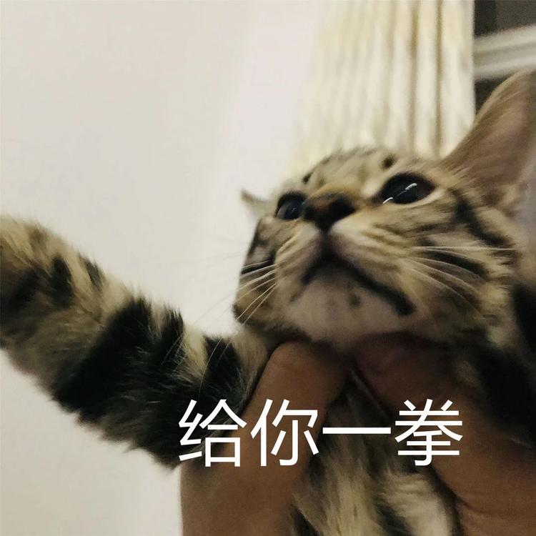 放假通知！内江人，来看看你今年还有多少天假期-14.jpg