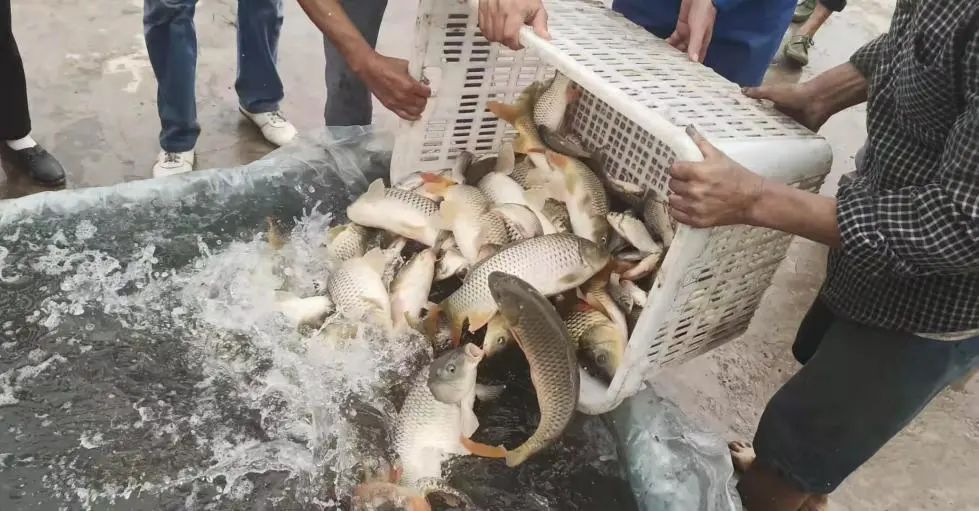 看这里！内江九大4A级景区周边最强美食攻略来了-34.jpg