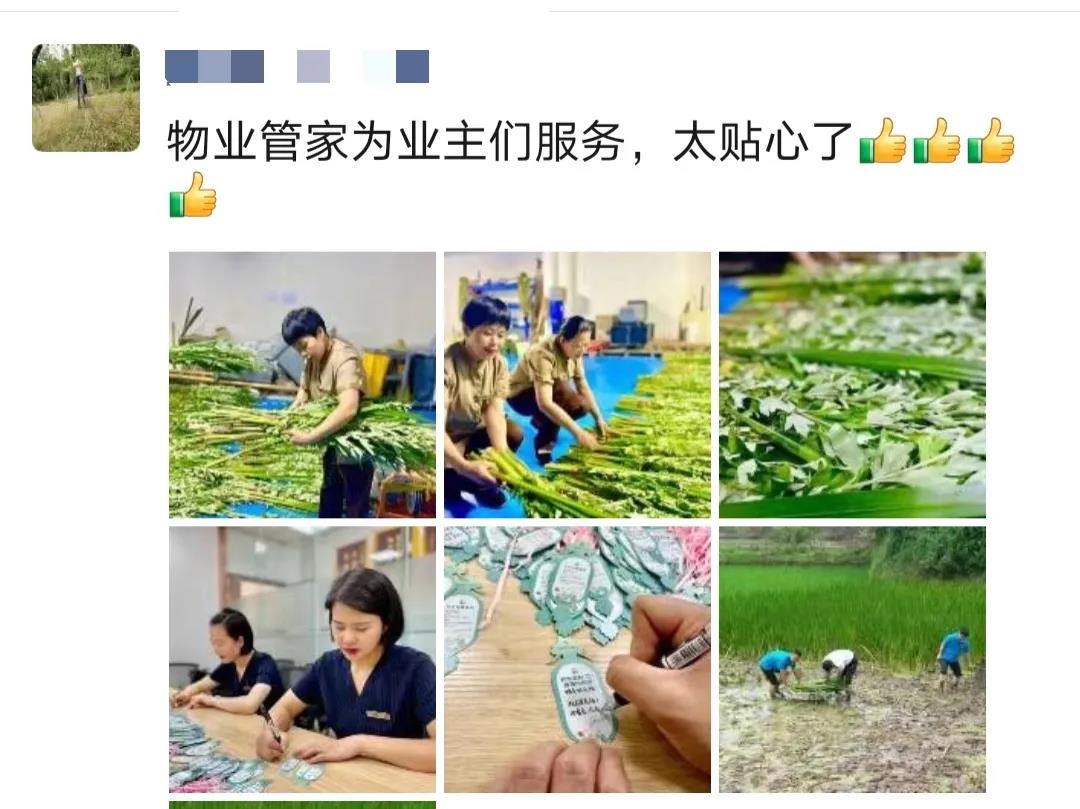 演绎内江品位生活，匠心成就信赖之选，品质兑现才是王道！-13.jpg