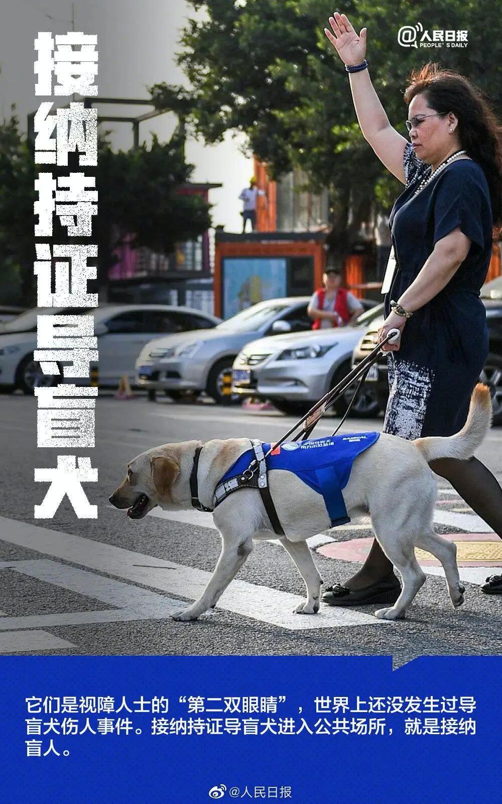 国际残疾人日｜关爱“折翼天使”，我们应该做好这9件事！-9.jpg
