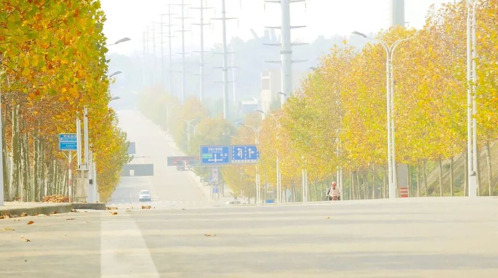 威远“梧桐大道”，绵延三公里的耀目金黄，每一步都美哭了！-7.jpg