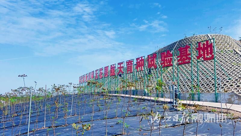 世界无花果大会，促进威远无花果全产业链高质量发展-1.jpg