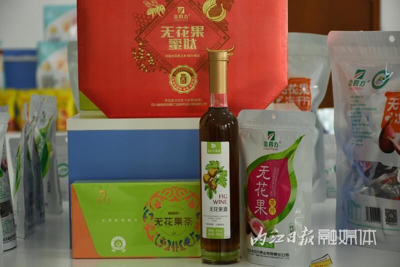 世界无花果大会，促进威远无花果全产业链高质量发展-2.jpg
