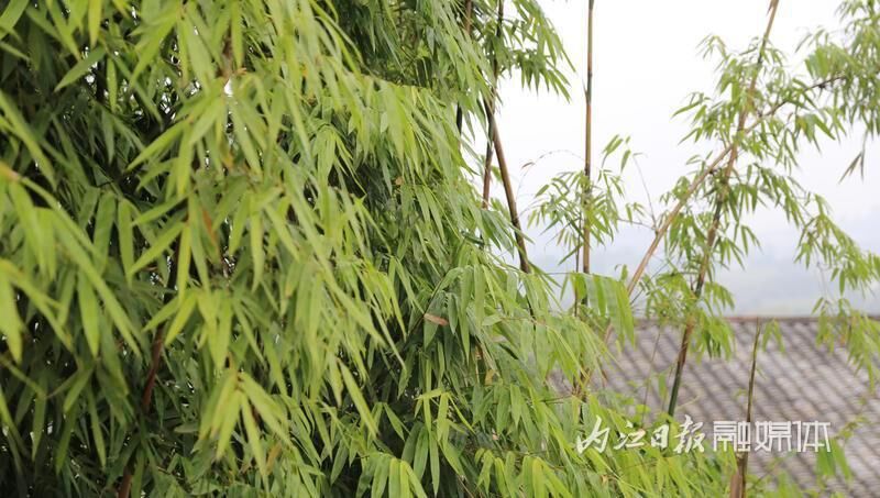 访市中区非物质文化遗产“凌家竹编”传承人柳勇-1.jpg