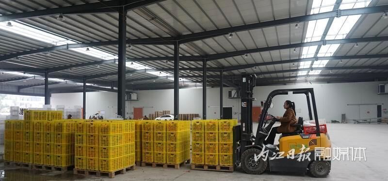 总投资约4800万元！市中区现代化冷链物流中心投入使用-1.jpg