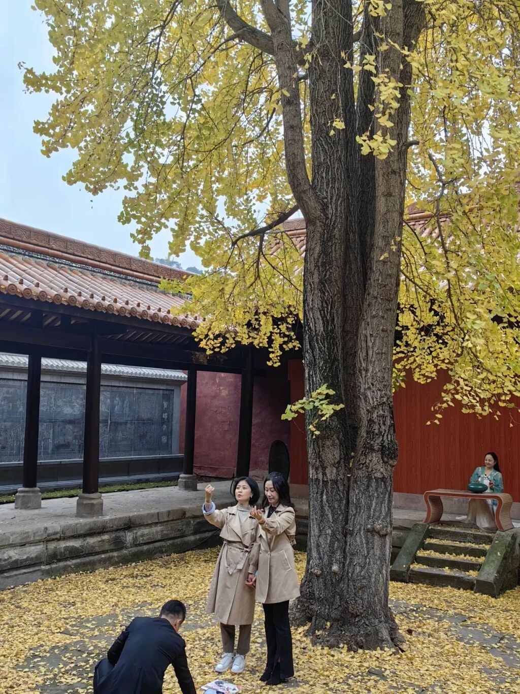 独属资中的浪漫深秋！我在文庙的那棵银杏树下等你，不见不散-6.jpg