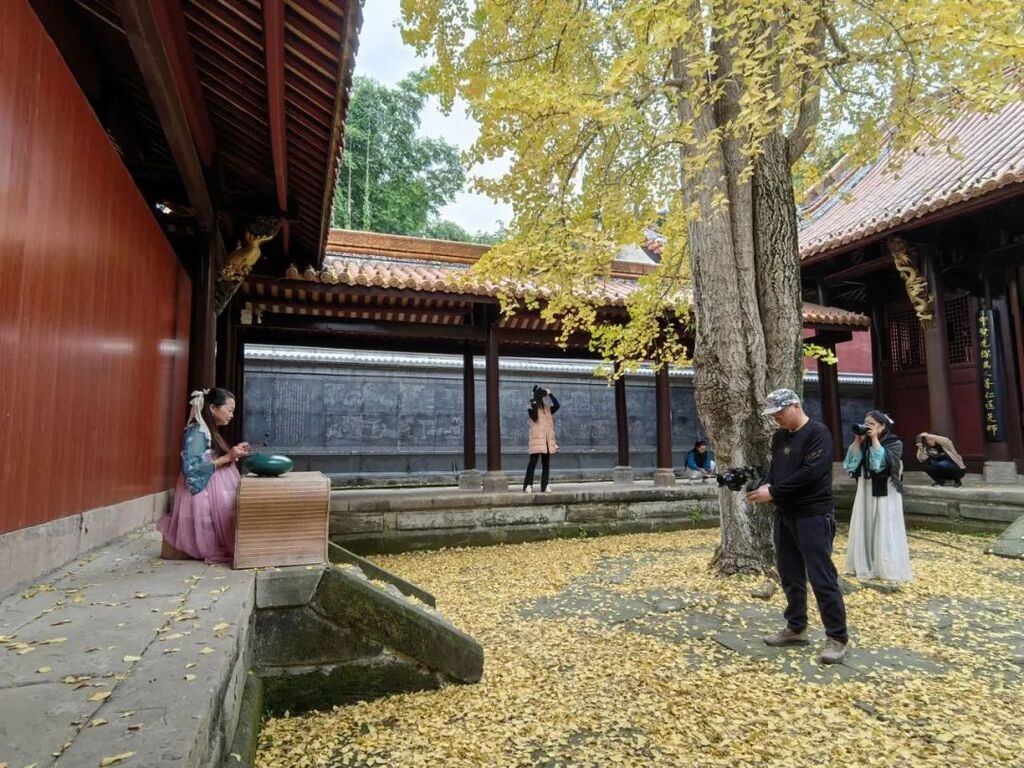独属资中的浪漫深秋！我在文庙的那棵银杏树下等你，不见不散-5.jpg