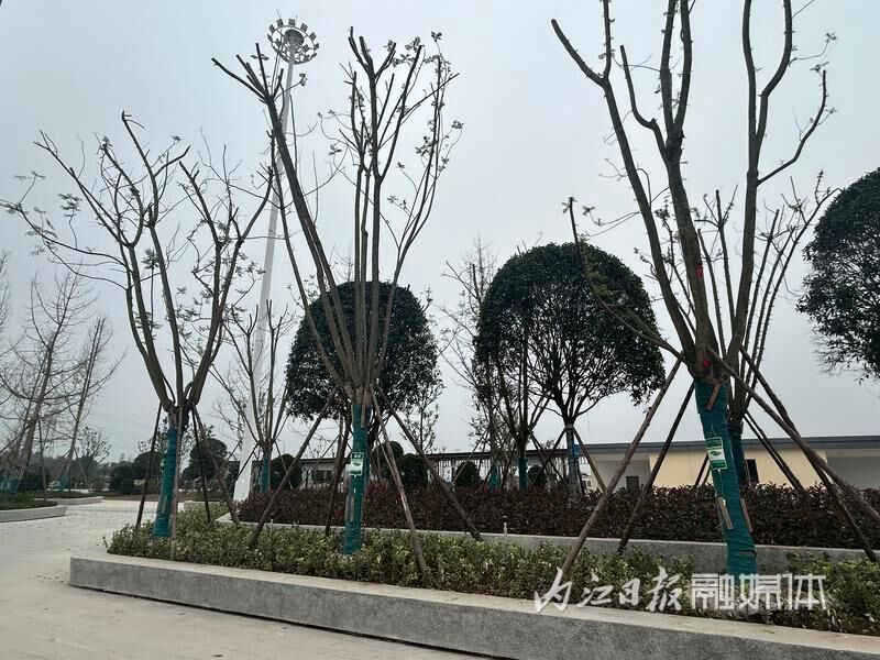 成宜高铁即将通车，记者带你提前探访资中西站-6.jpeg