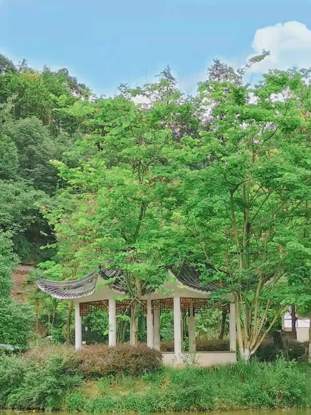 0元打卡！内江“高质量拍照地”，值得收藏！-2.jpg