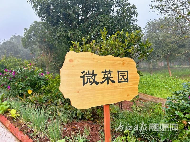 东兴区黄泥嘴大院：因地制宜改面貌兴产业，建设“最美甜城绿道休闲地”-6.jpg