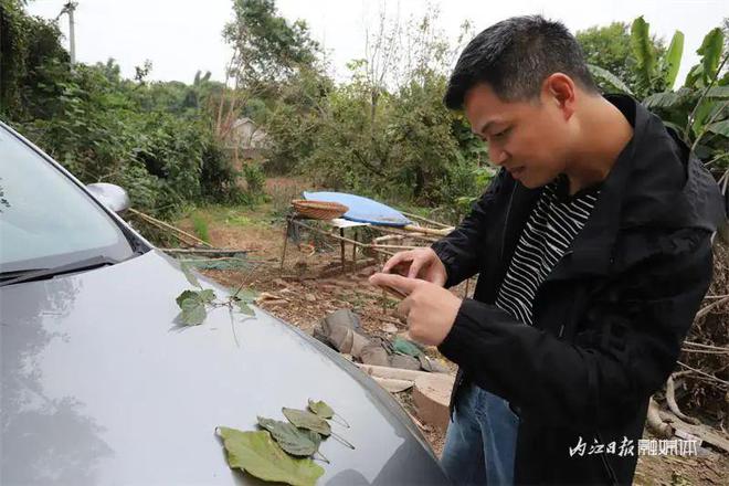 130多岁！为TA，内江已启动保护程序-5.jpg