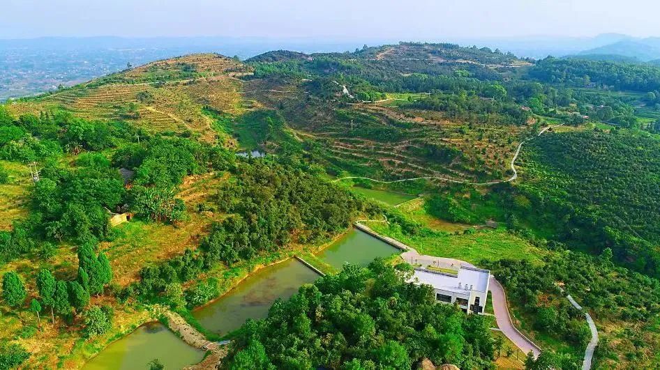隆昌这段古代的“高速公路”，妙趣横生！-12.jpg