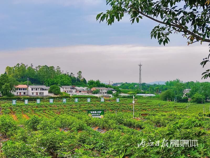 成宜高铁通车在即，乘上高铁来威远“吃喝玩乐”感受穹窿风貌-8.jpg
