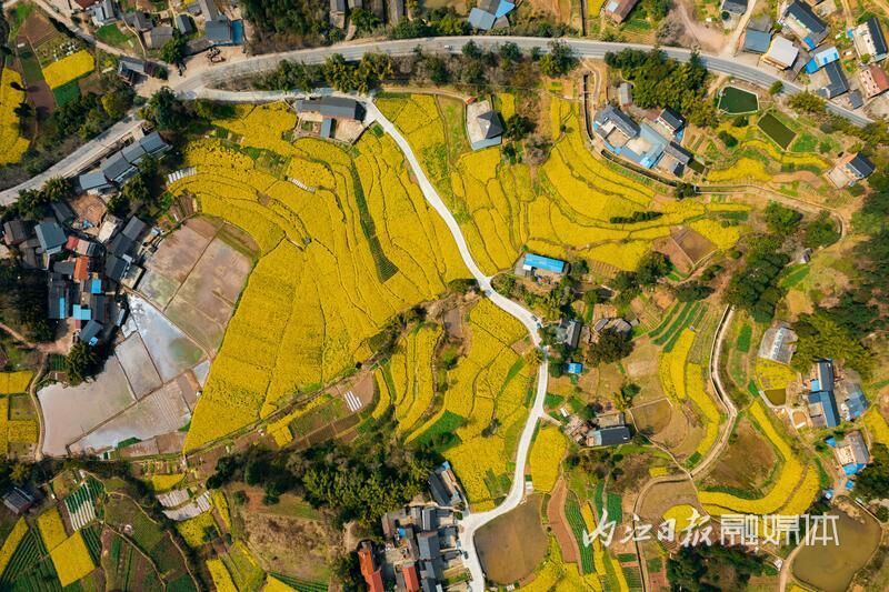 成宜高铁通车在即，乘上高铁来威远“吃喝玩乐”感受穹窿风貌-23.jpg
