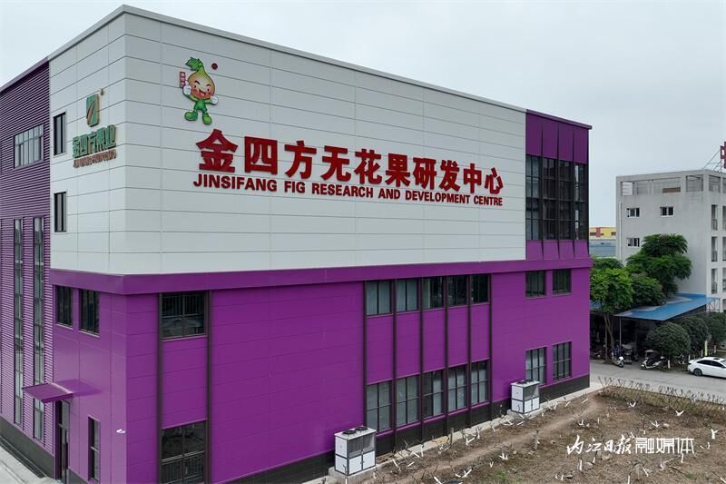 甜上加甜，内江甜女为无花果代言-1.jpeg
