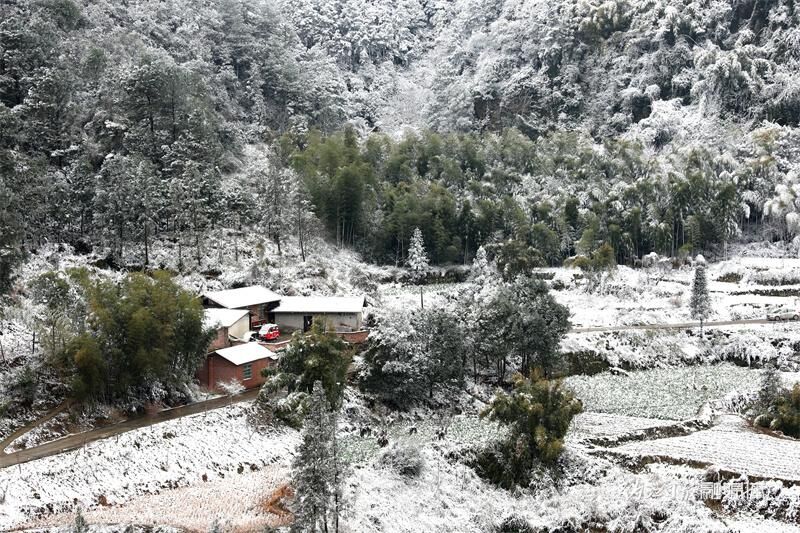 美翻！2024年内江的第一场雪看不够-2.jpg