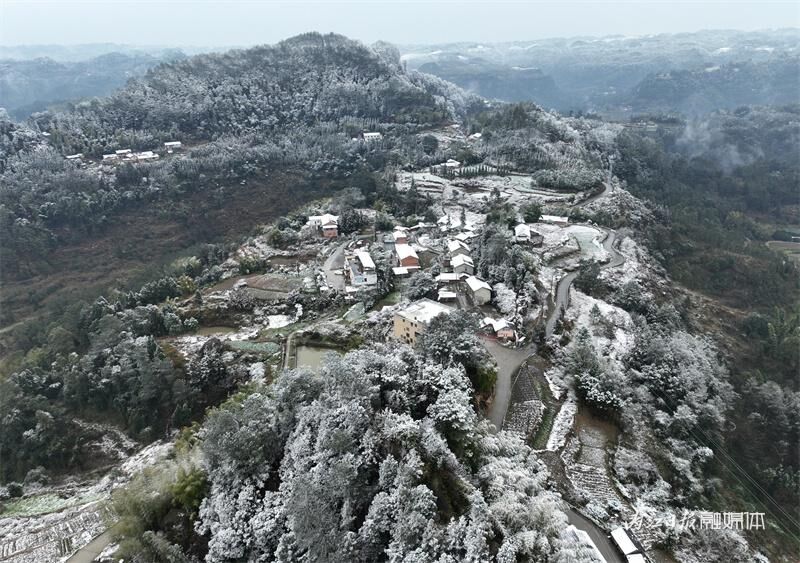 美翻！2024年内江的第一场雪看不够-1.jpg