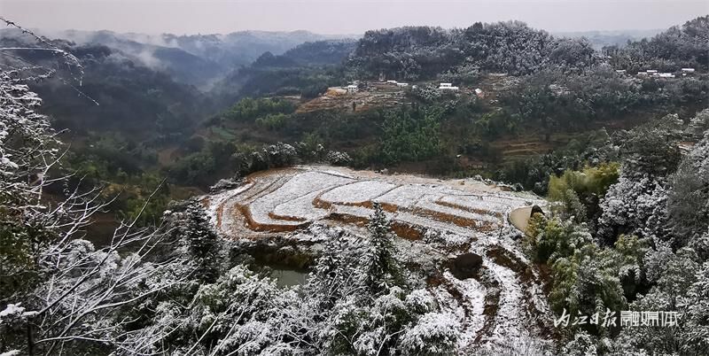 美翻！2024年内江的第一场雪看不够-9.jpg