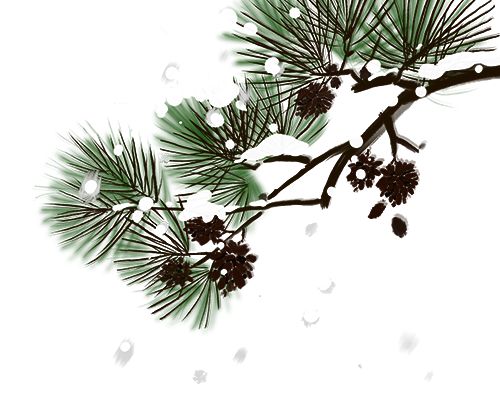 没看够！再来一波内江的雪-2.jpg