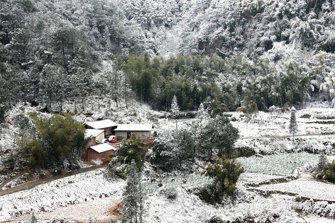 没看够！再来一波内江的雪-6.jpg